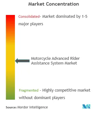 rider safety market players.PNG