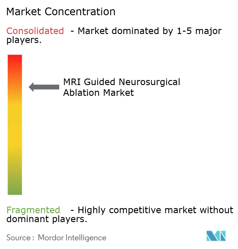 MRI Guided Neurosurgical Ablation Market Concentration
