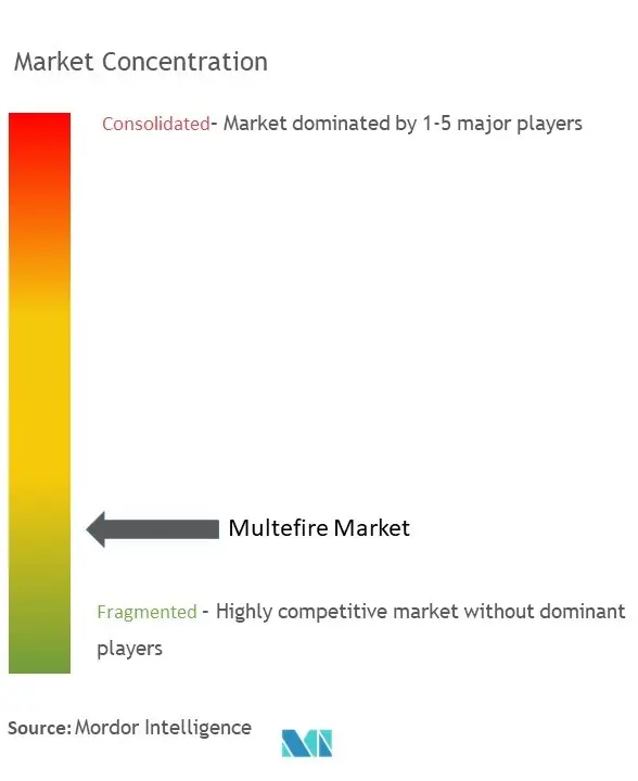 マルチファイア市場の集中度