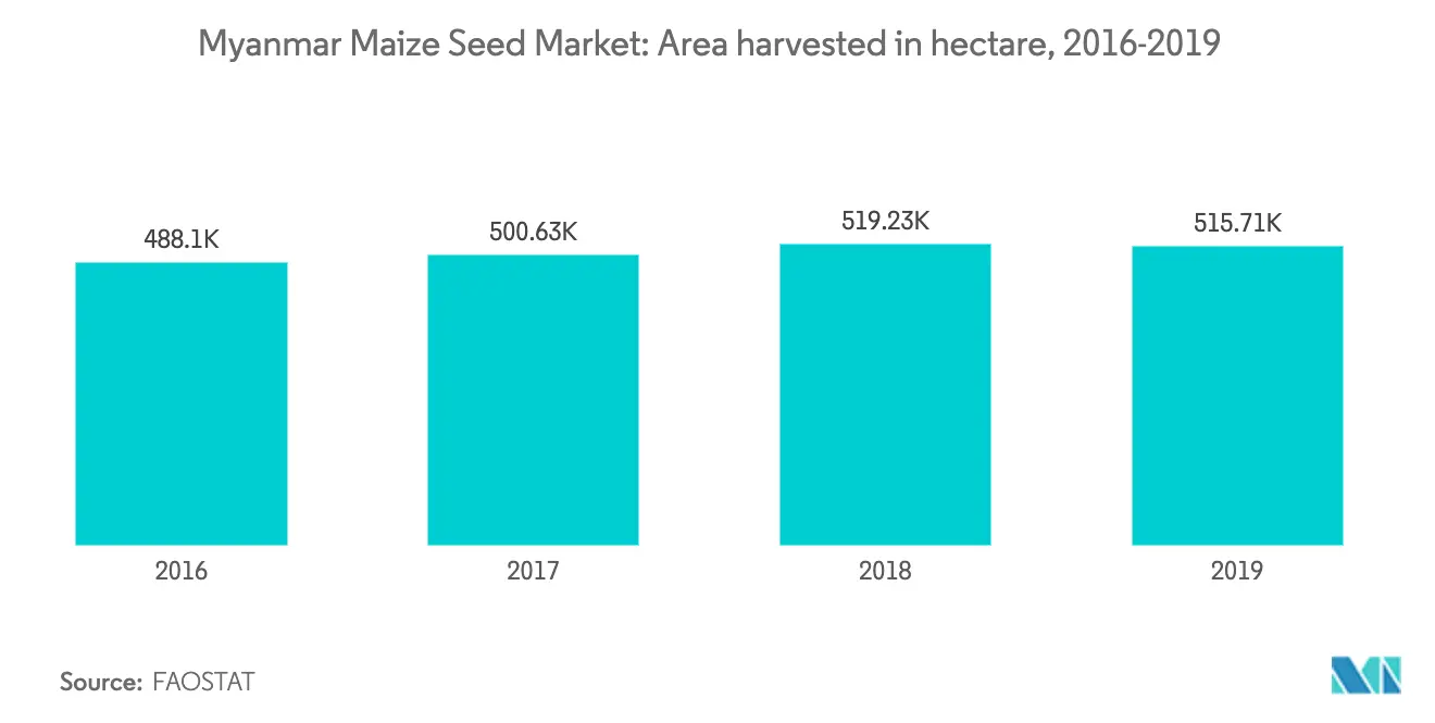 Myanmar Corn Seed Market Growth