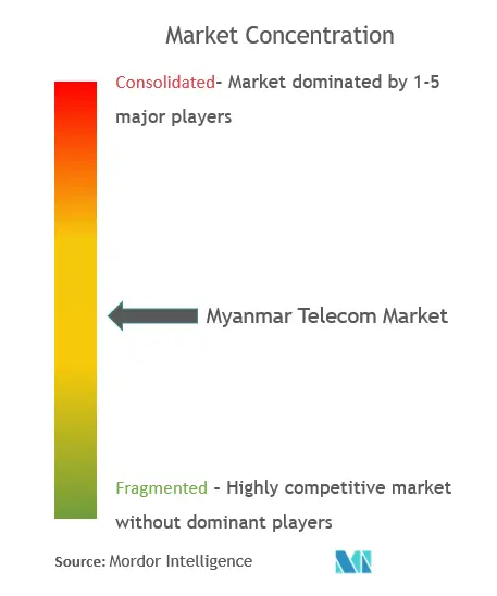 Myanmar Telecom Market Concentration