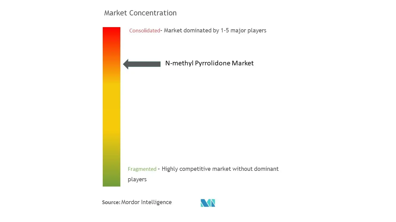N-Methyl Pyrrolidone Market Concentration