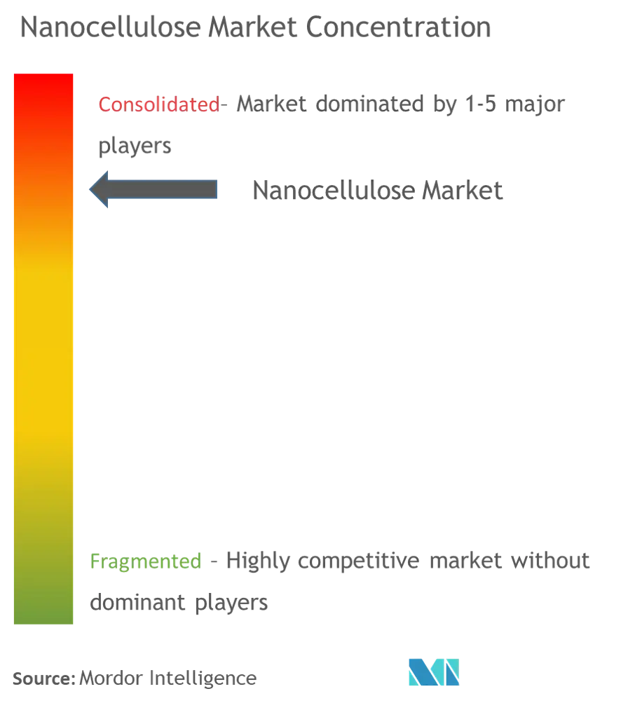 Nanocellulose Market Analysis
