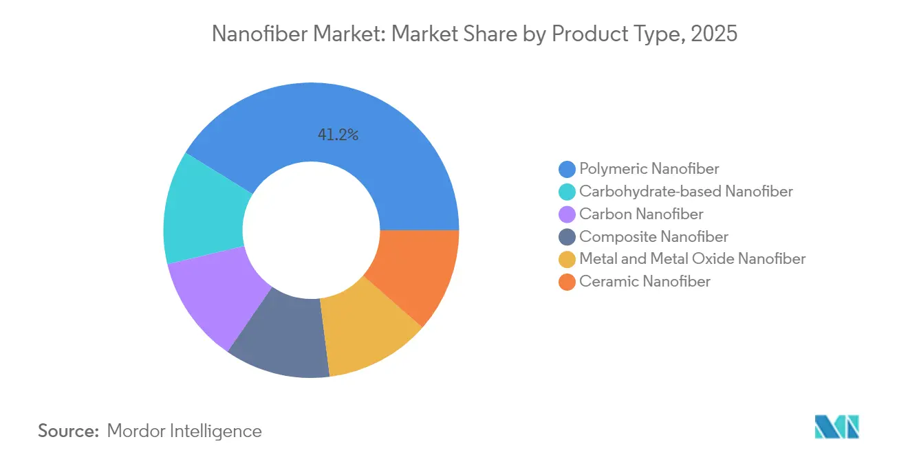 Nanofiber Market Share by Product Type, 2025