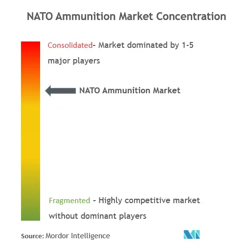 NATO Ammunition Market Concentration