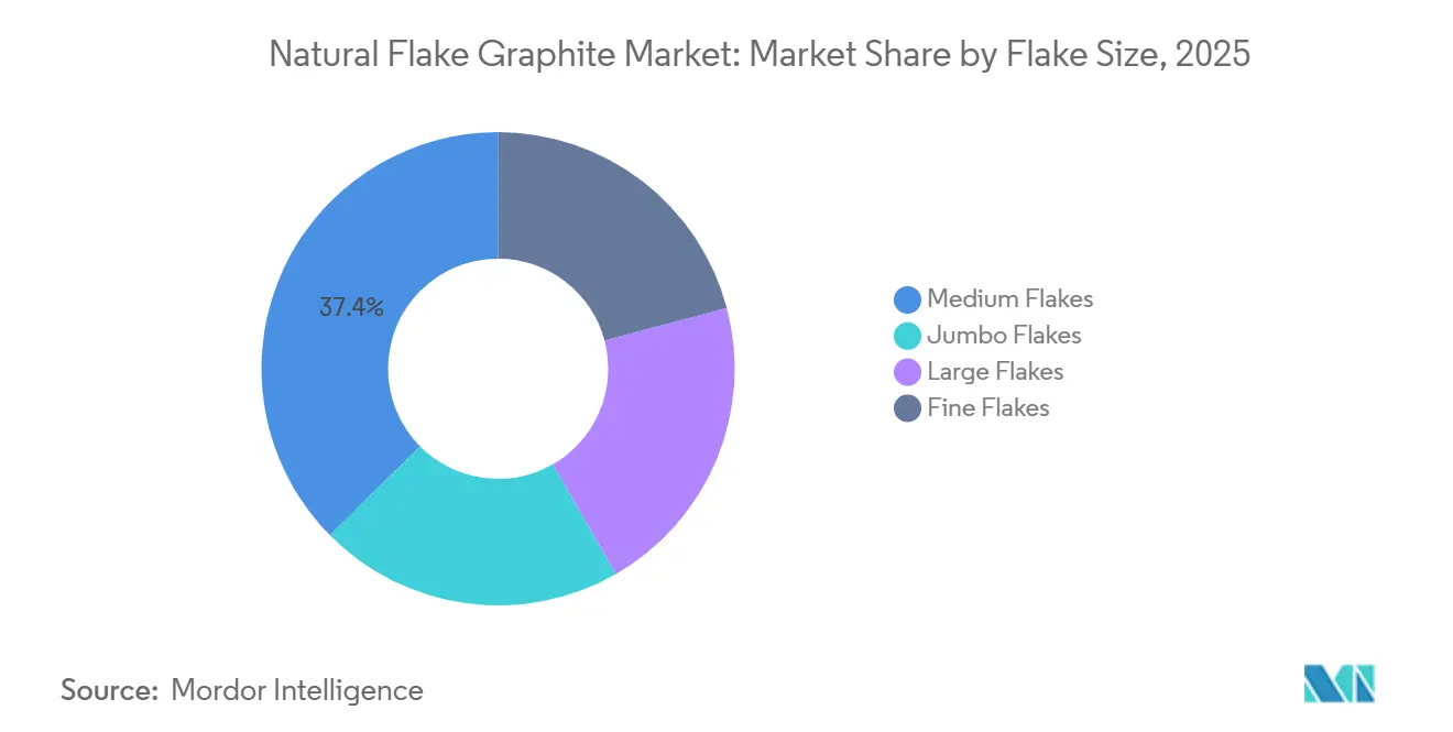 Natural Flake Graphite Market: Market Share by Flake Size