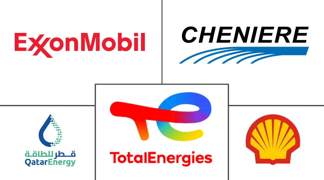 Principales actores en Mercado de Gas Natural industria