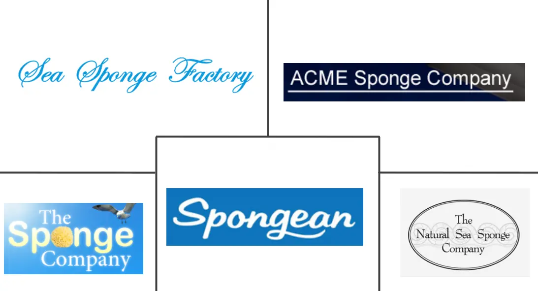 Major players in Natural Sponge industry