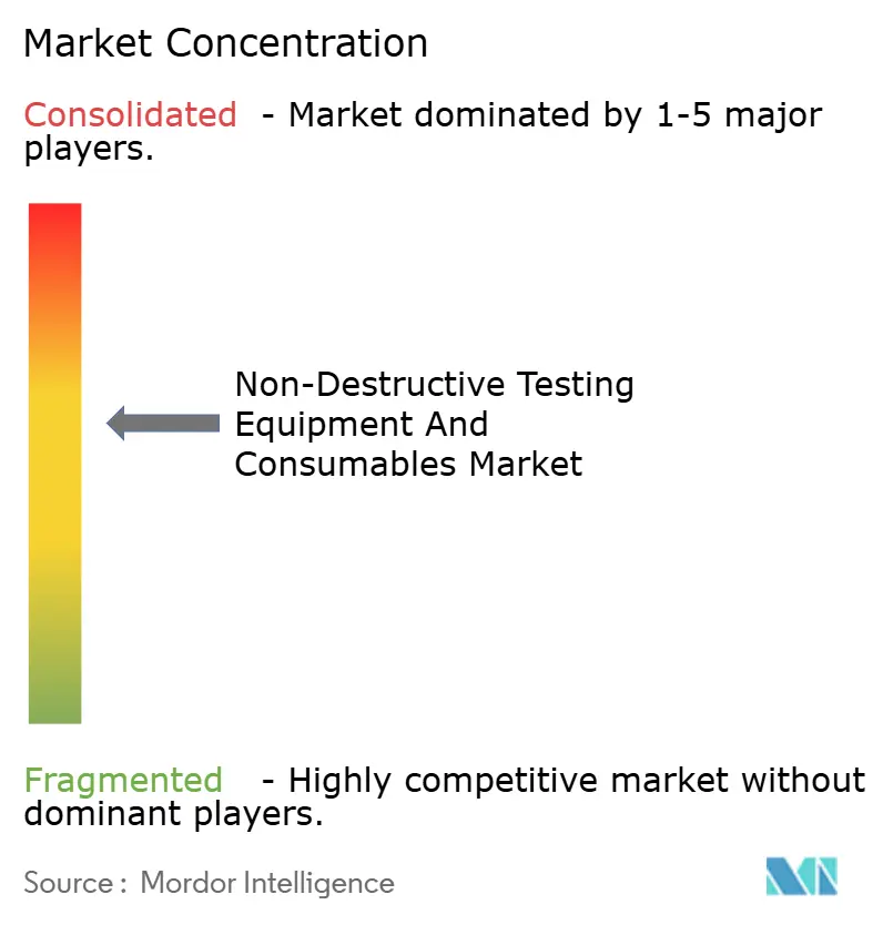 Non-Destructive Testing Equipment And Consumables Market Concentration