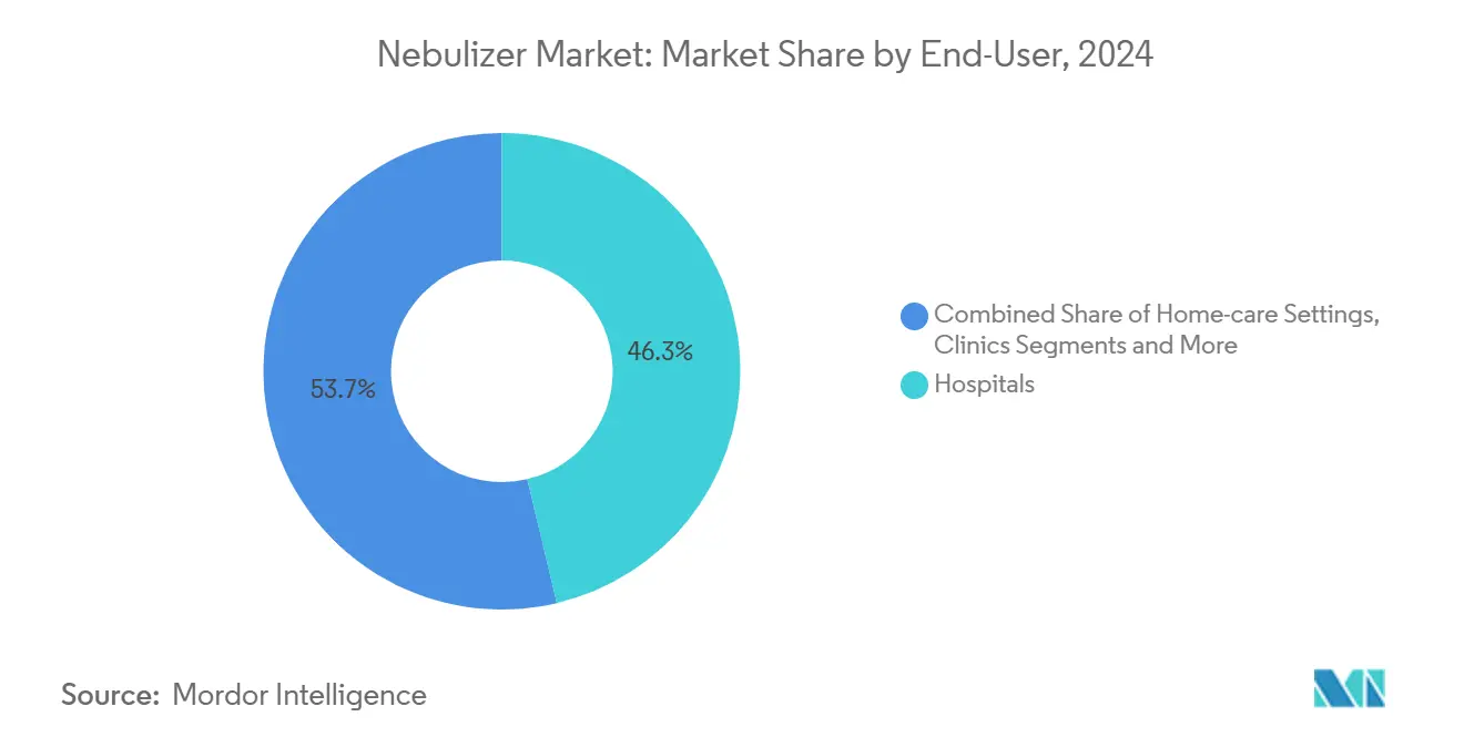 Nebulizer Market: Market Share by End-User
