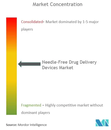 Needle Free Drug Delivery Devices Market Concentration