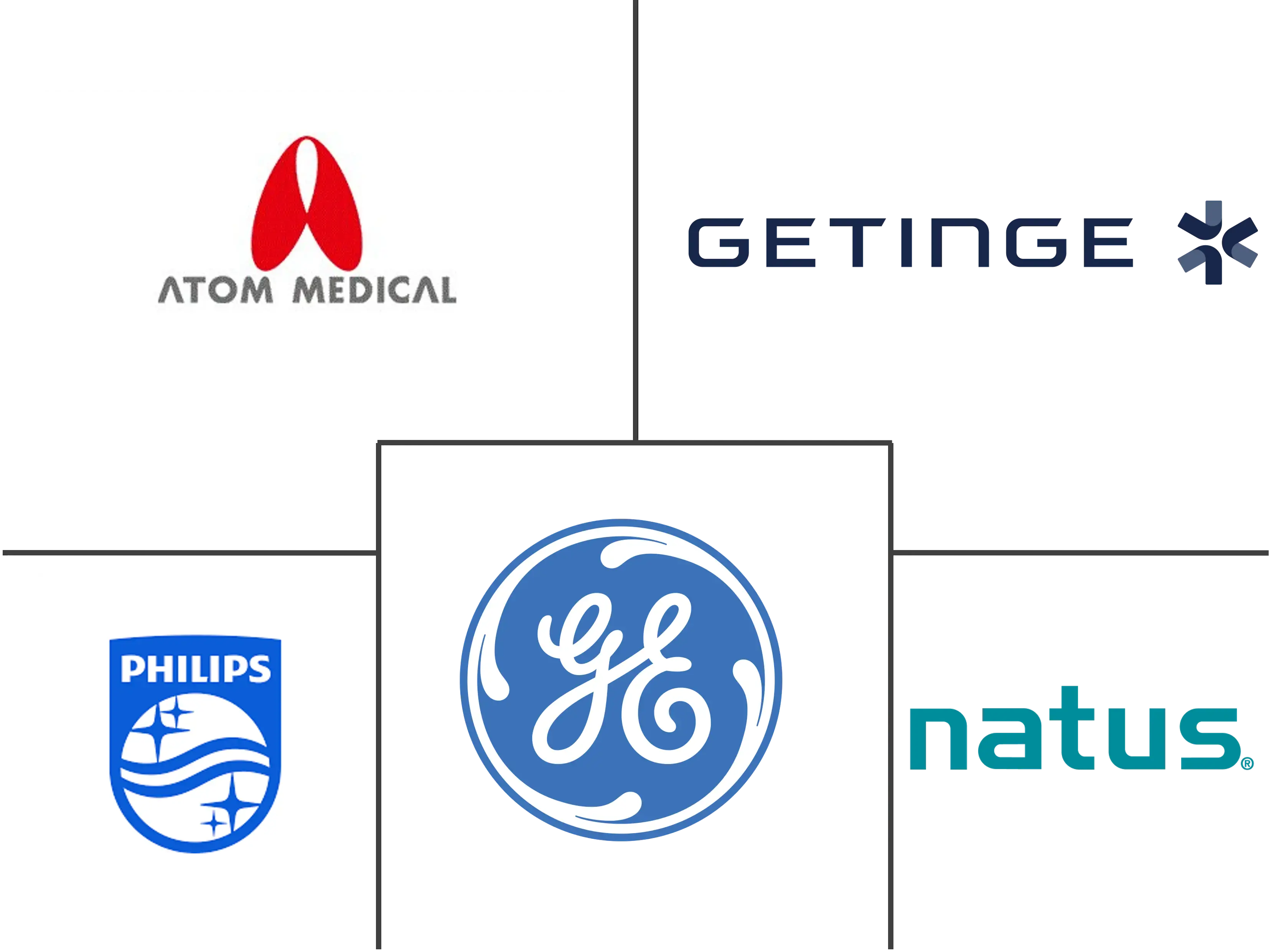 Major players in Neonatal And Prenatal Devices industry