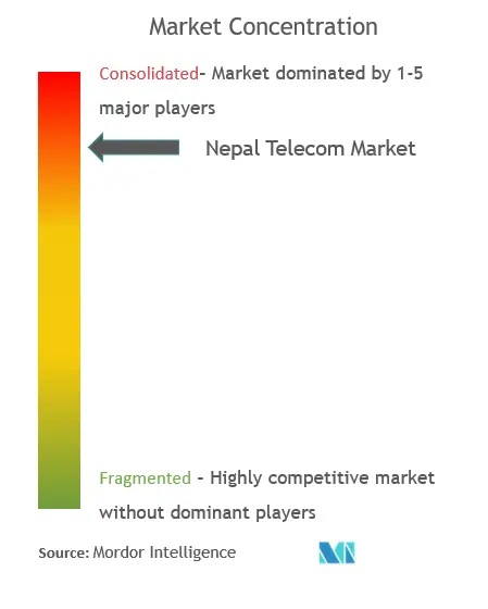 ネパール・テレコム市場の集中度