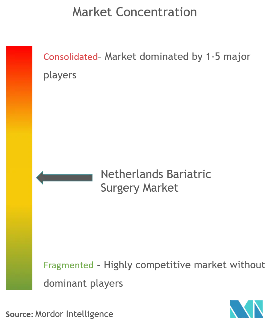 Netherlands Bariatric Surgery Market Concentration.png