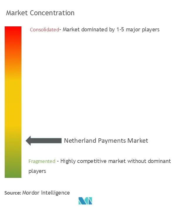 Netherland Payments Market competive logo.jpg