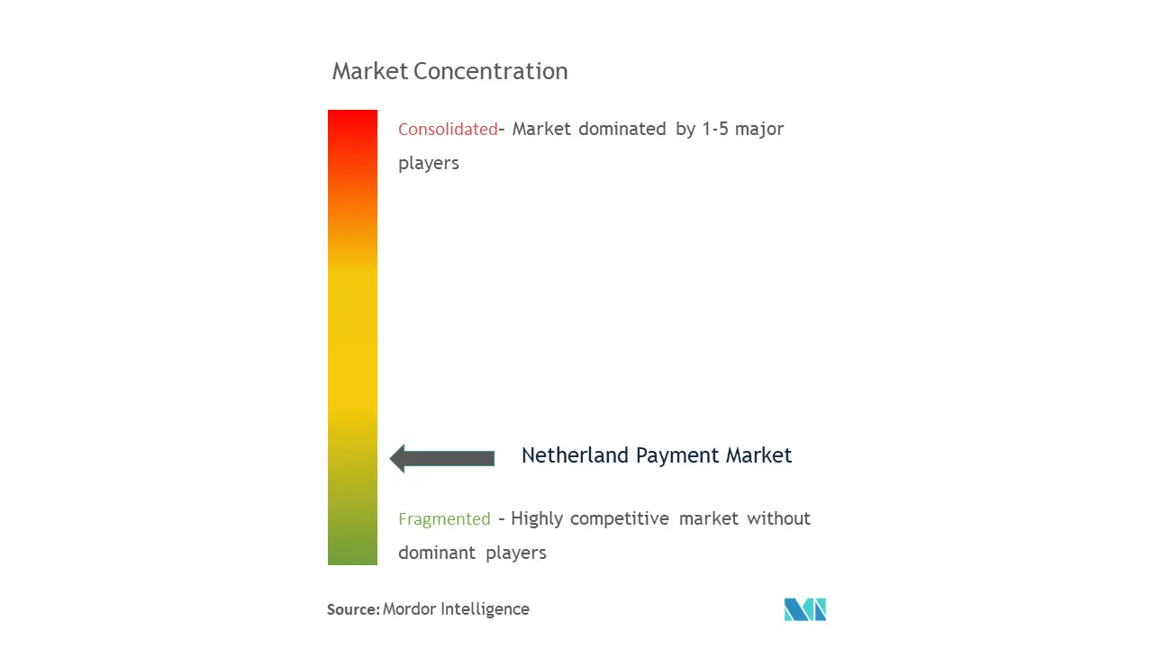 Netherland Payments Market Concentration