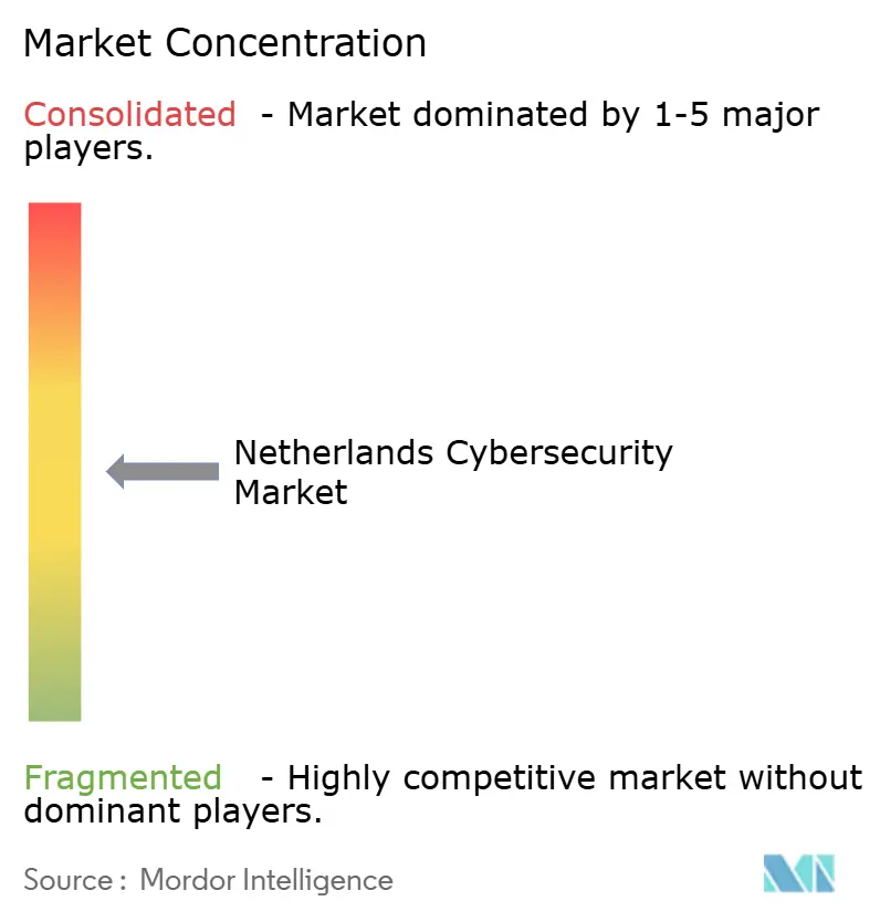 Netherlands Cybersecurity Market Concentration