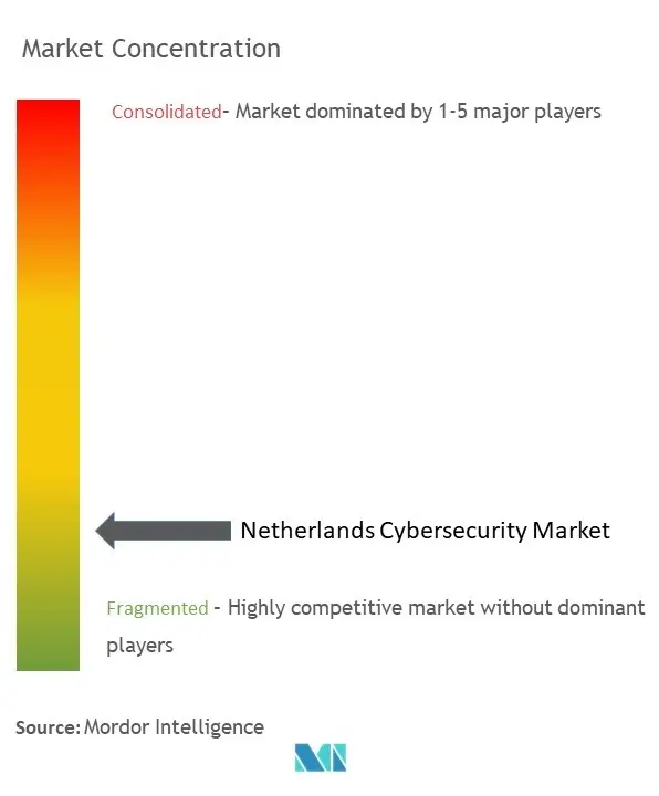 Netherlands Cybersecurity Market Concentration