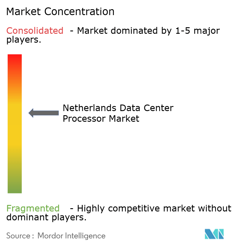 Netherlands Data Center Processor Market Concentration