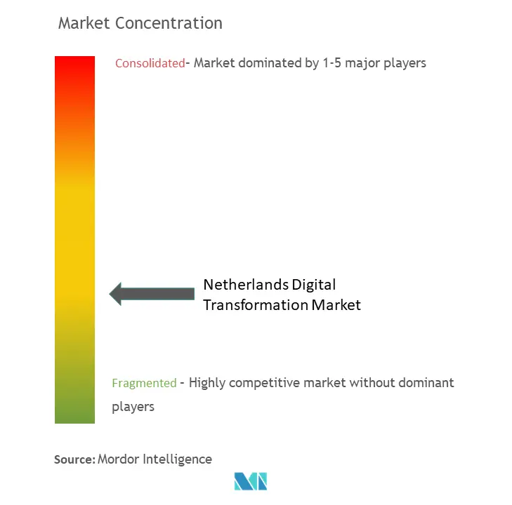 Netherlands Digital Transformation Market Concentration