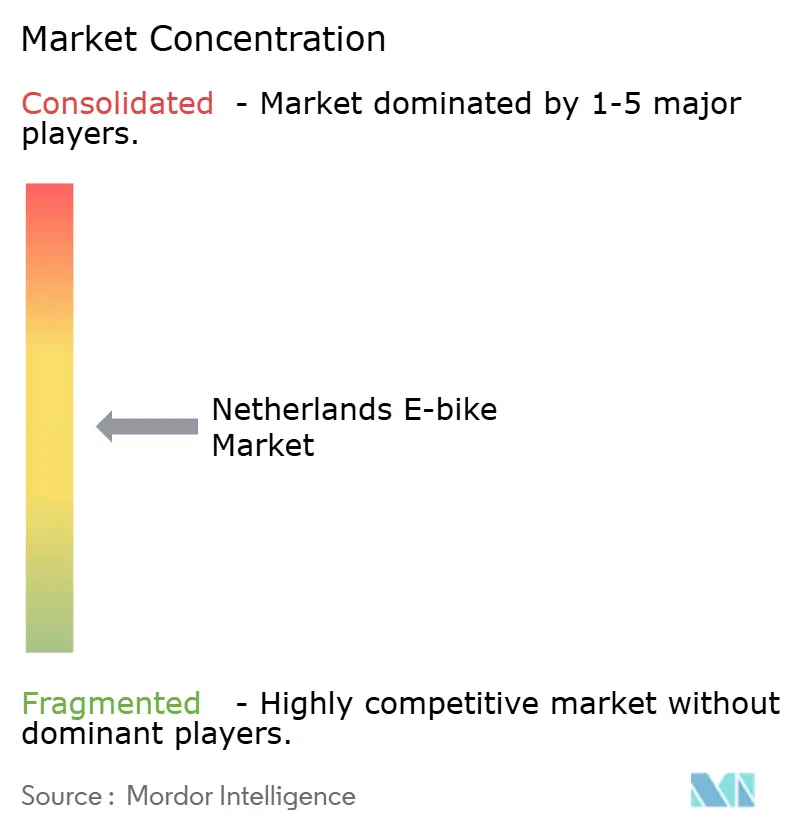 Netherlands E-bike Market