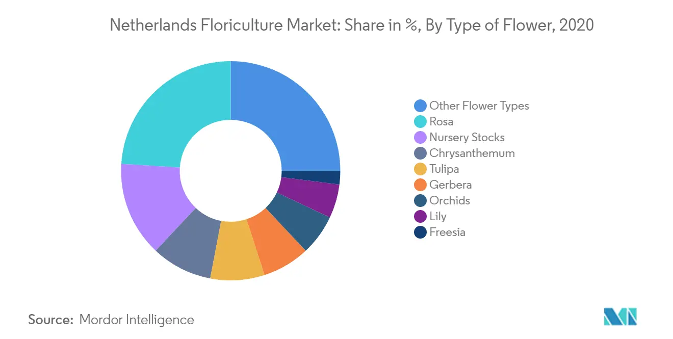 Netherlands Floriculture Market