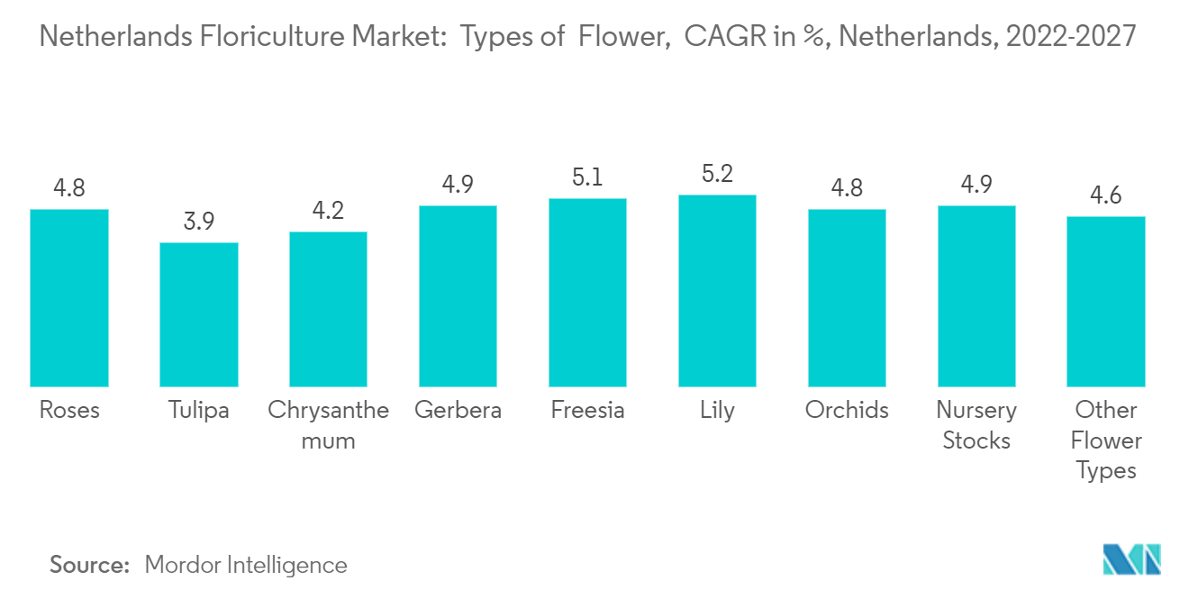 Netherlands Floriculture Market: Types of Flower, CAGR in %, Netherlands, 2022-2027