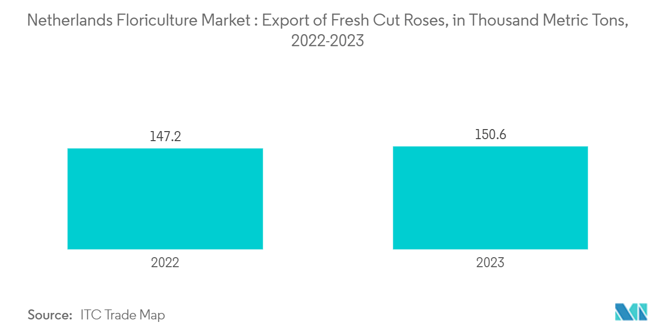 네덜란드 화훼 사설 카지노: 신선하게 자른 장미 수출, 천 톤, 2022-2023