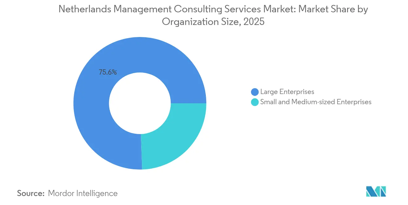 Netherlands Management Consulting Services Market: Market Share by Organization Size, 2025