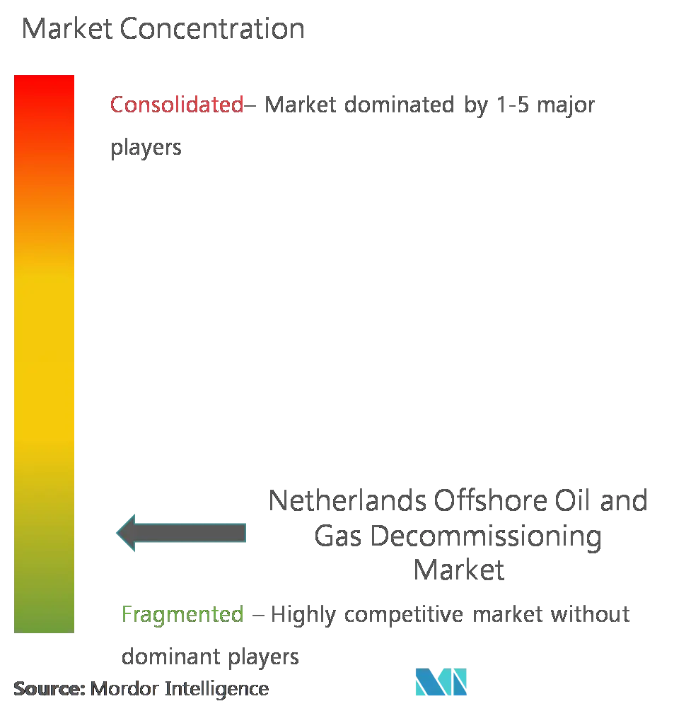 Netherlands Offshore Oil And Gas Decommissioning Market Concentration