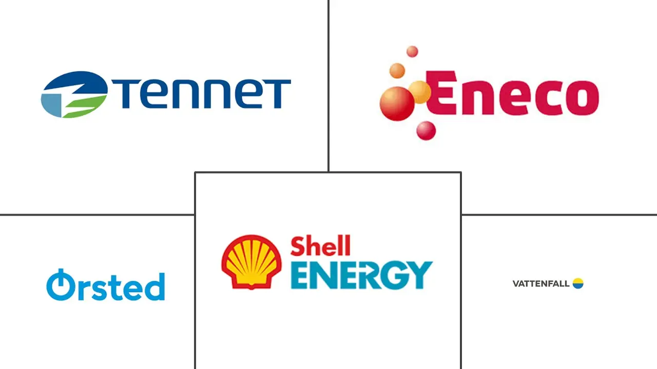 Major players in Netherlands Renewable Energy industry