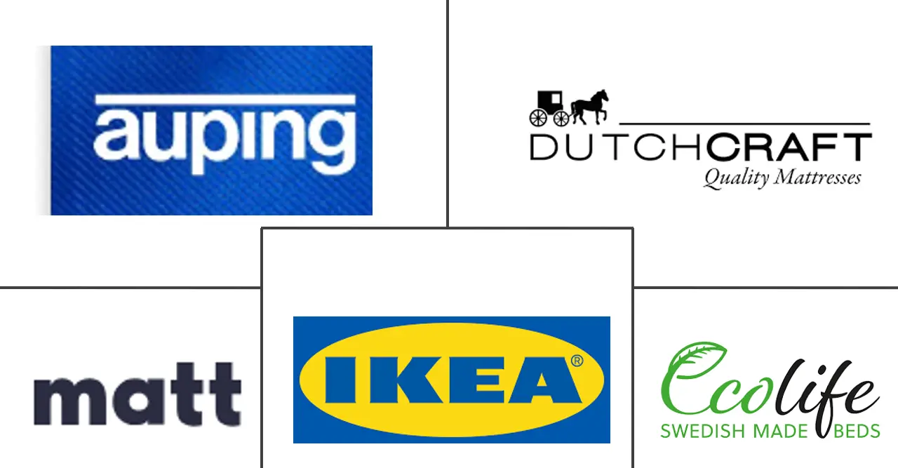 네덜란드 지속 가능한 매트리스 시장 주요 업체