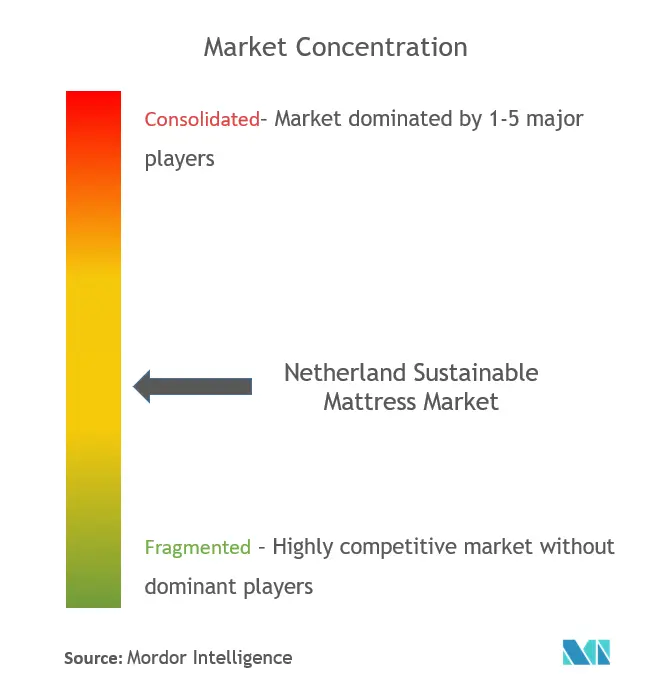 Netherlands Sustainable Mattress Market Concentration