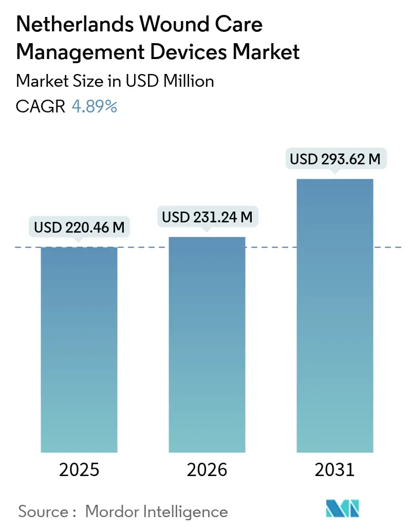 Netherlands Wound Care Management Devices Market (2025 - 2030)
