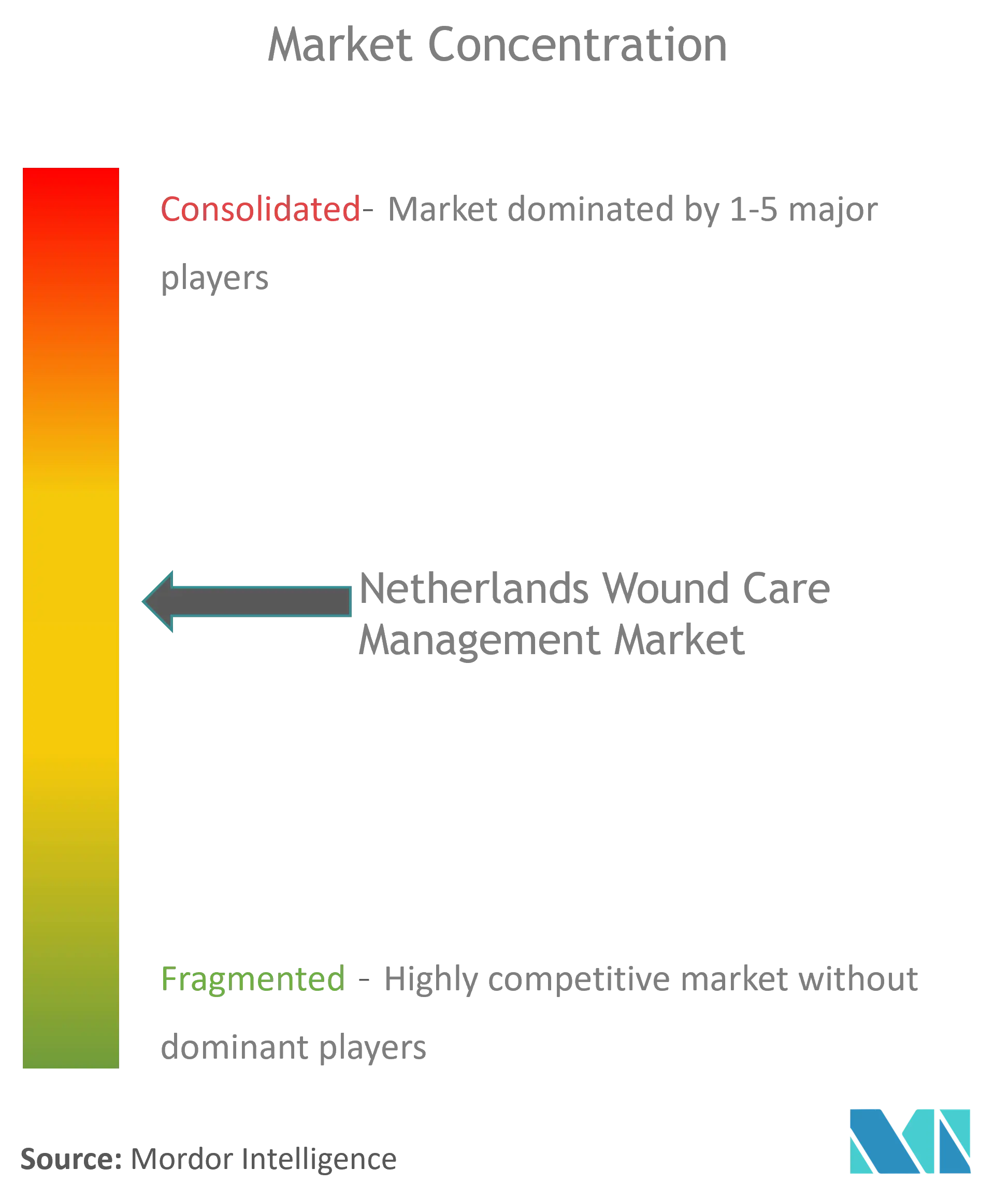 Gestión del cuidado de heridas en Países BajosConcentración del Mercado