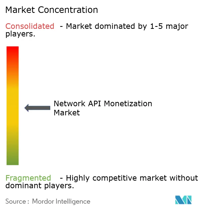 Network API Monetization Market Concentration