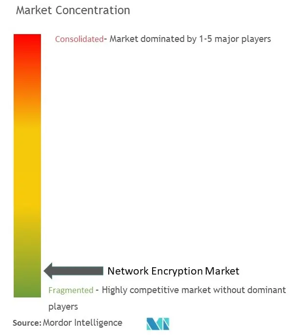 Concentração do mercado de criptografia de rede