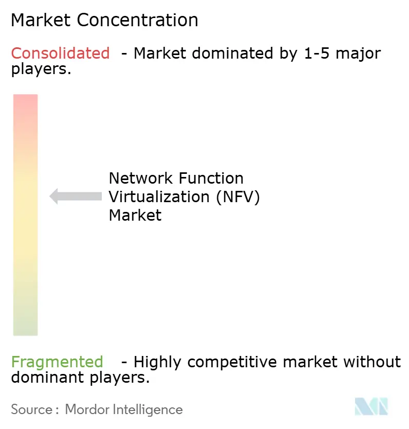 Network Function Virtualization (NFV) Market Concentration