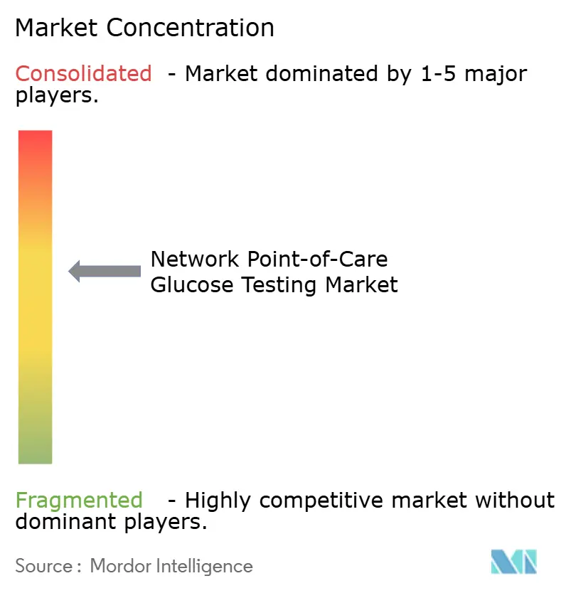 Network Point-of-Care Glucose Testing Market Concentration