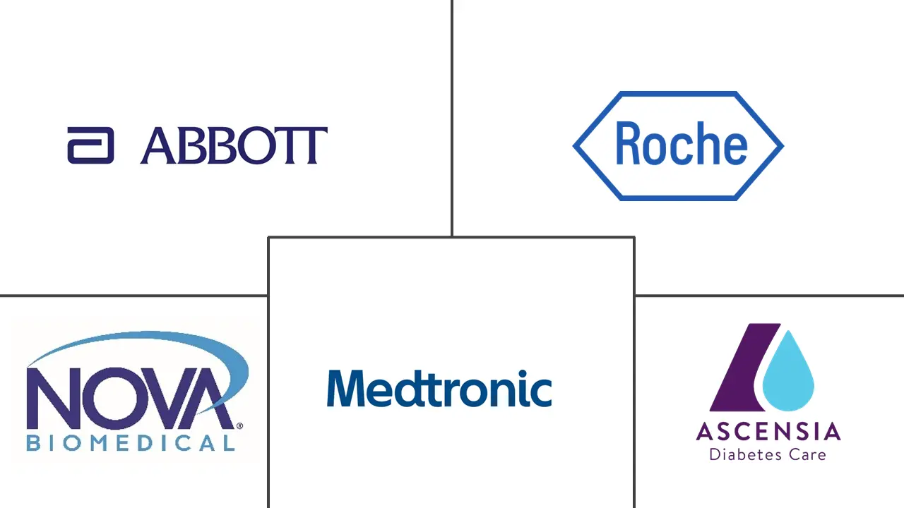 Major players in Network Point-of-Care Glucose Testing industry