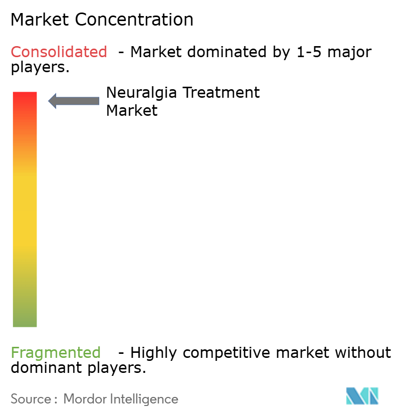 神経痛治療市場の集中度