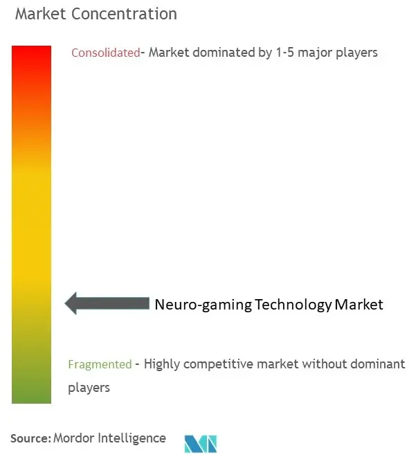 Marktkonzentration im Bereich Neuro-Gaming-Technologie