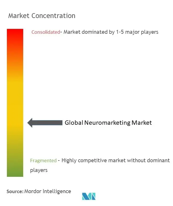 ニューロマーケティング市場の集中度