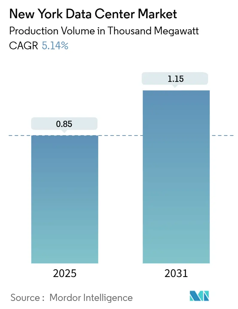 New York Data Center Market (2025 - 2031)