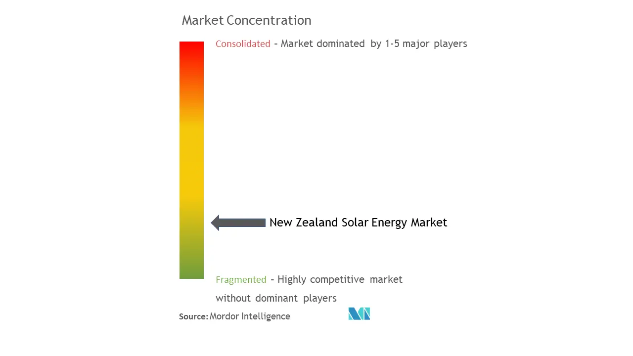 Meridian Energy Ltd, JA Solar Holdings, Trina Solar Limited, JinkoSolar Holding Co. Ltd, and New Zealand Solar Power Ltd.