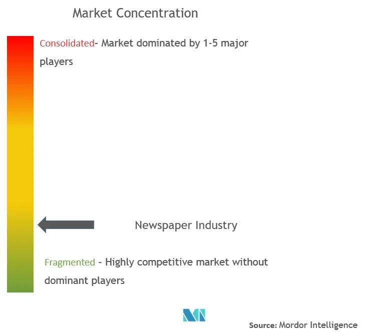 Newspaper Industry Market Concentration