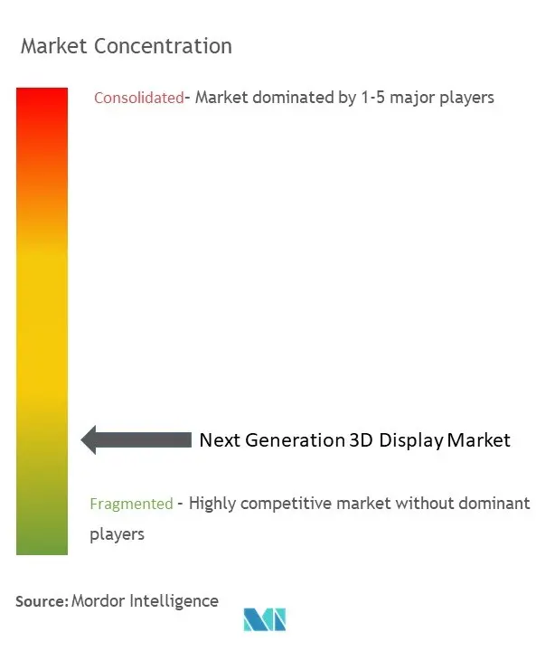 차세대 3D 디스플레이 시장 집중도