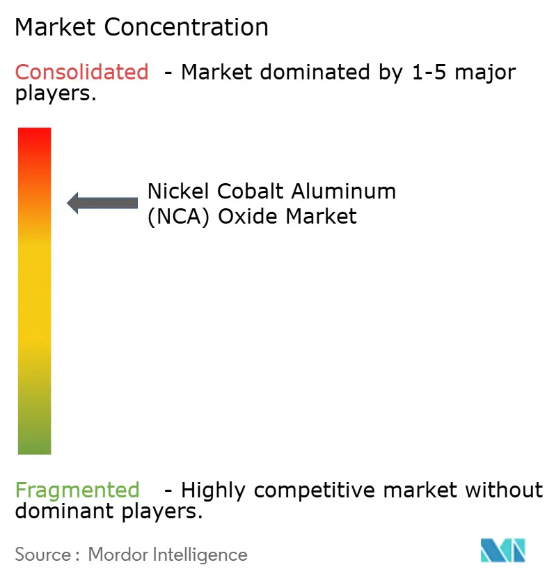 Nickel Cobalt Aluminum (NCA) Oxide Market Concentration