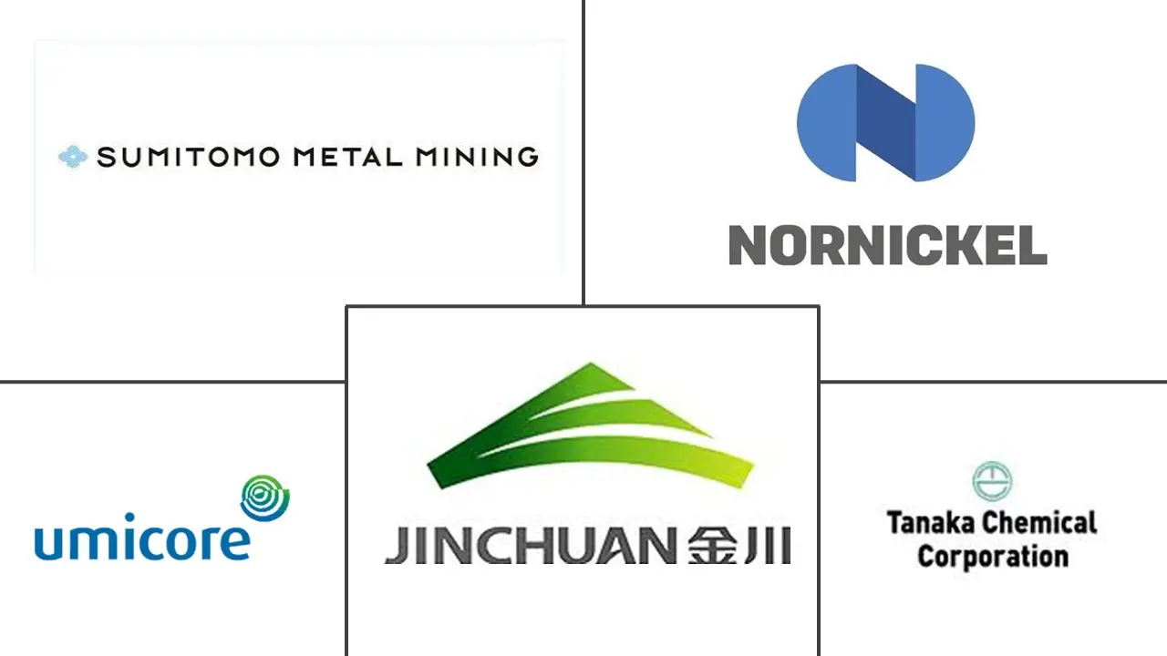 Major players in Nickel Hydroxide industry