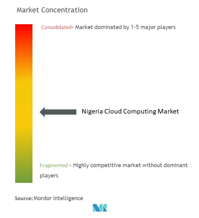 Nigeria Cloud Computing Market Concentration